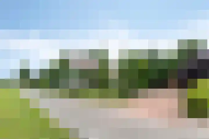Vaart Nz 127 Appelscha thumbnail 38