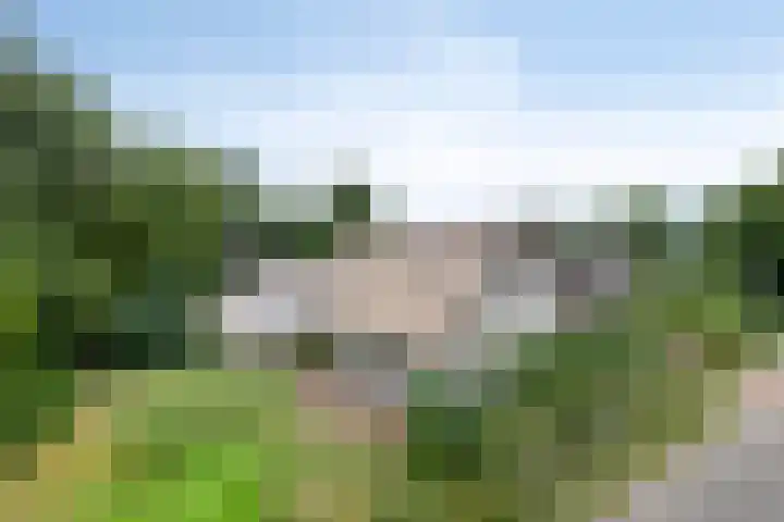Vaart Nz 127 Appelscha thumbnail 4