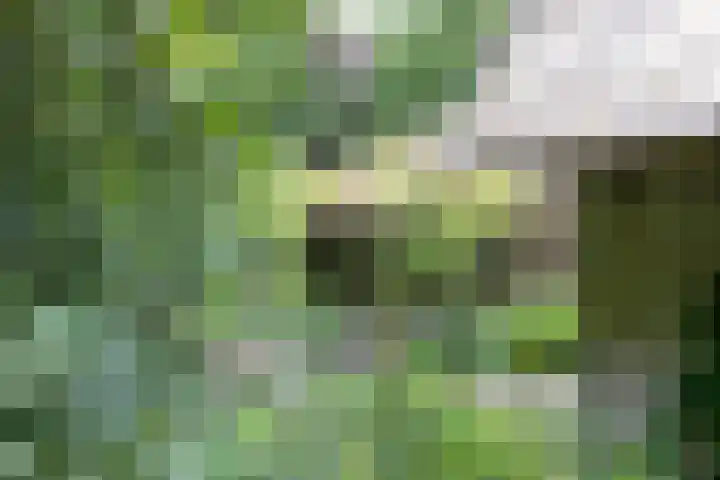 Vaart Nz 127 Appelscha thumbnail 40