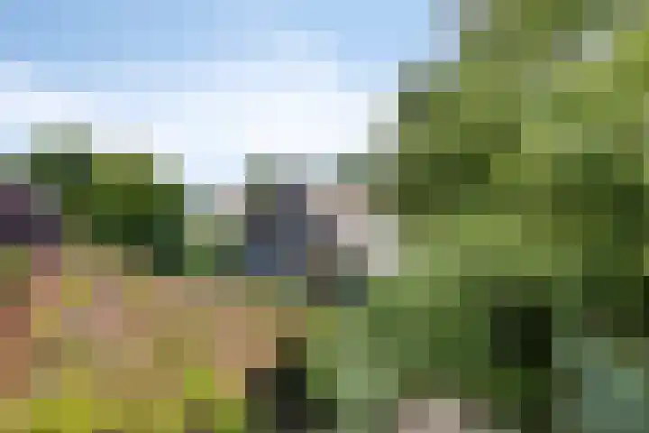 Vaart Nz 127 Appelscha thumbnail 41