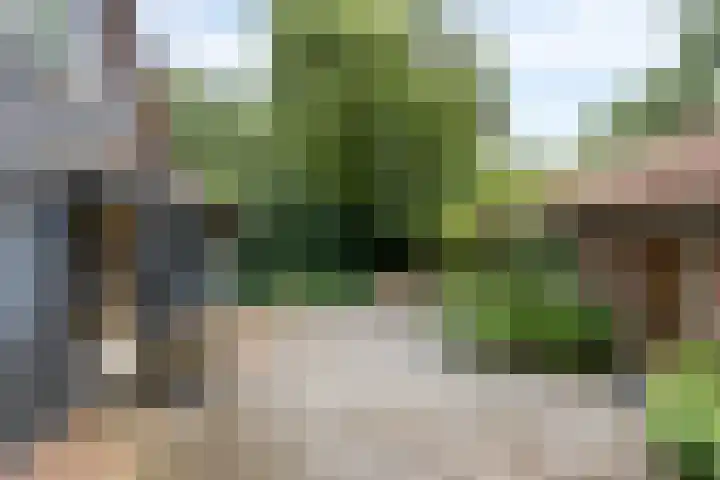 Vaart Nz 127 Appelscha thumbnail 42