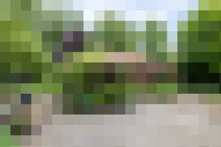 Vaart Nz 127 Appelscha thumbnail 43