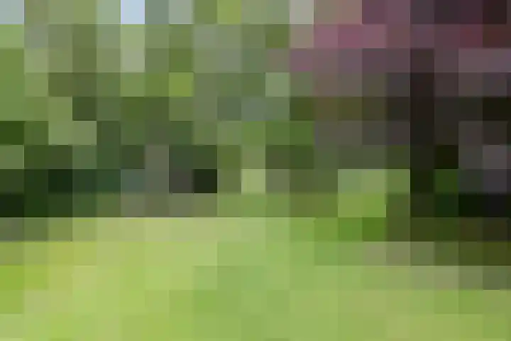 Vaart Nz 127 Appelscha thumbnail 45