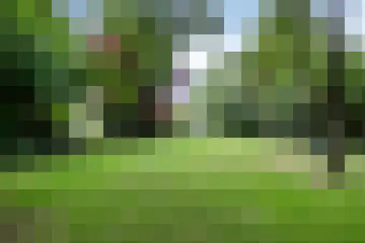 Vaart Nz 127 Appelscha thumbnail 47