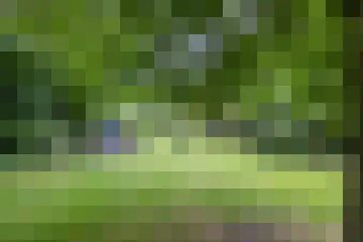 Vaart Nz 127 Appelscha thumbnail 48