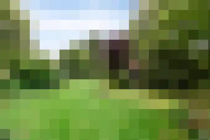 Vaart Nz 127 Appelscha thumbnail 50