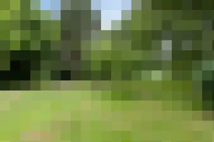 Vaart Nz 127 Appelscha thumbnail 52