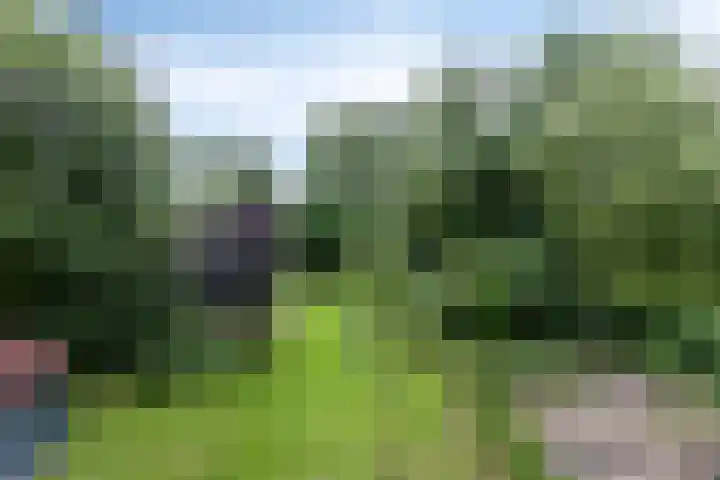 Vaart Nz 127 Appelscha thumbnail 53