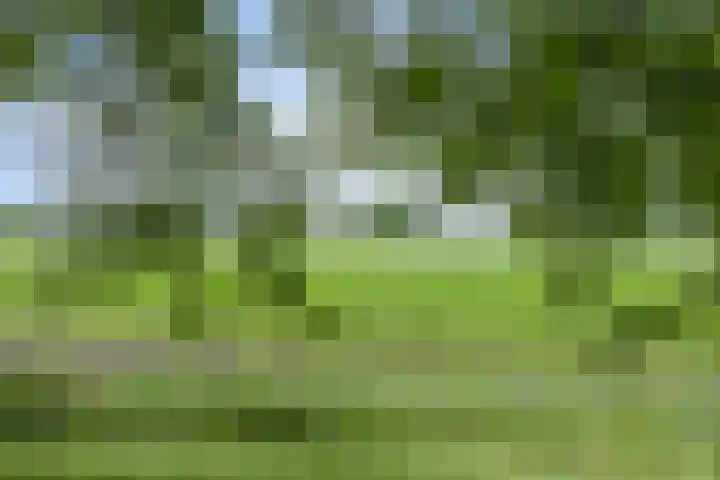 Vaart Nz 127 Appelscha thumbnail 54