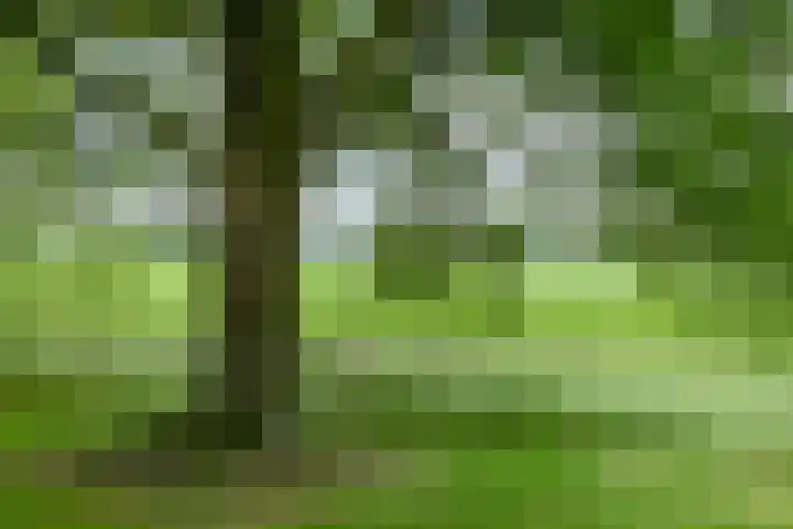 Vaart Nz 127 Appelscha thumbnail 55
