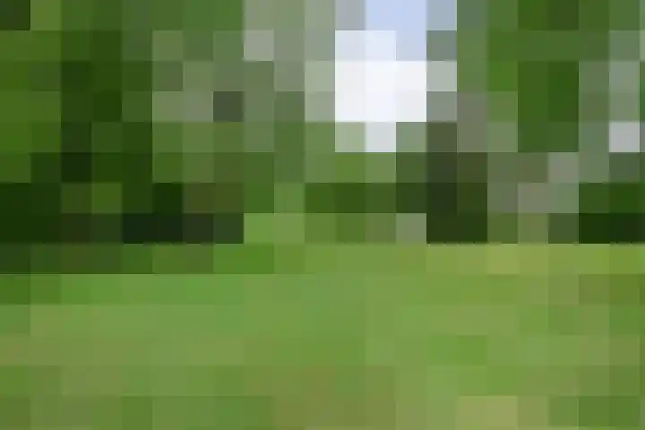 Vaart Nz 127 Appelscha thumbnail 56