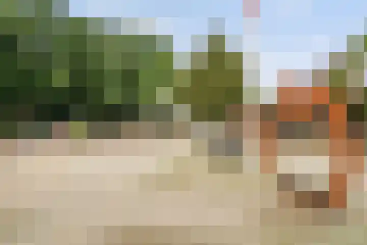 Vaart Nz 127 Appelscha thumbnail 57