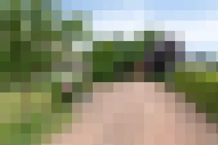 Vaart Nz 127 Appelscha thumbnail 6