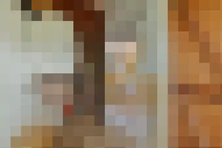 Vaart Nz 127 Appelscha thumbnail 8