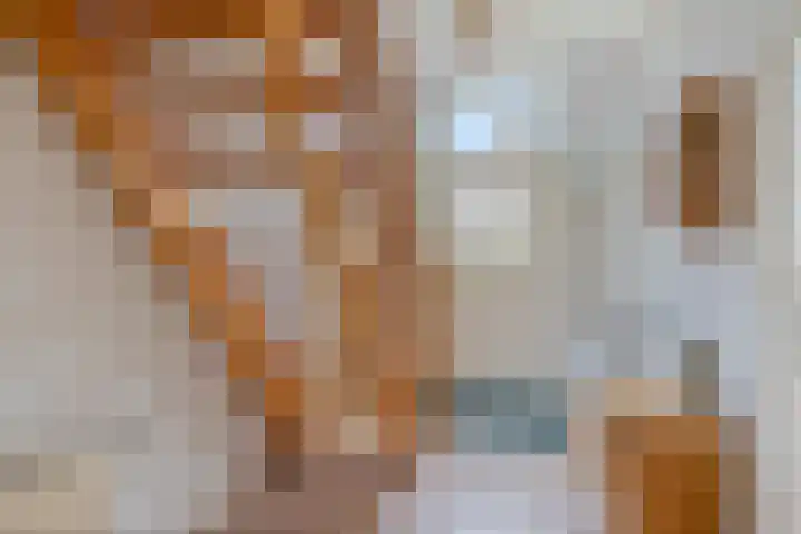 Vaart Nz 15 Appelscha thumbnail 10