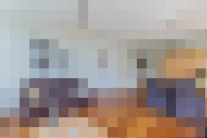 Vaart Nz 15 Appelscha thumbnail 15