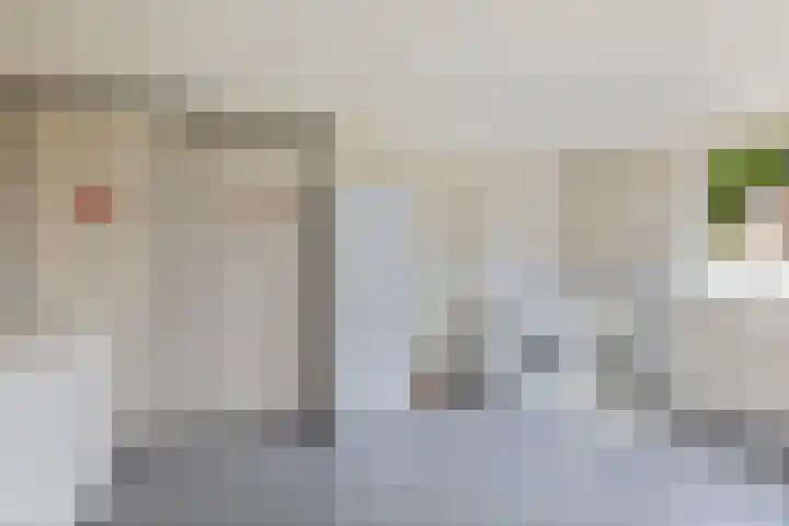 Vaart Nz 15 Appelscha thumbnail 19