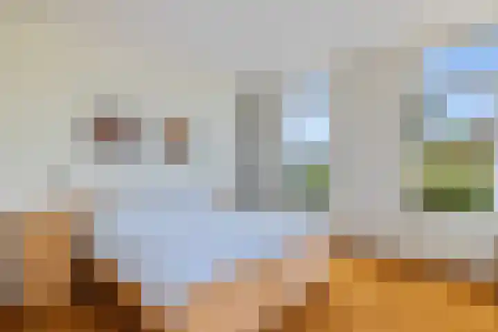 Vaart Nz 15 Appelscha thumbnail 20