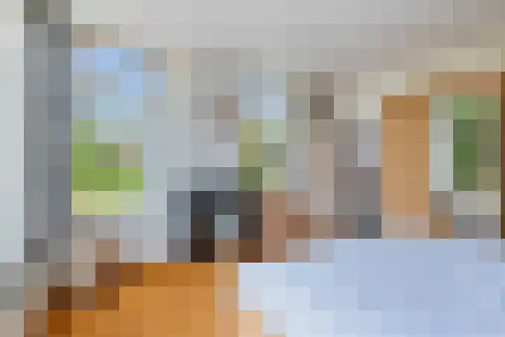 Vaart Nz 15 Appelscha thumbnail 21