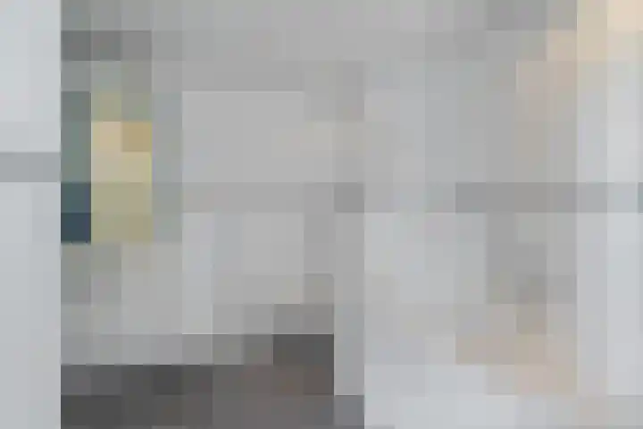 Vaart Nz 15 Appelscha thumbnail 22