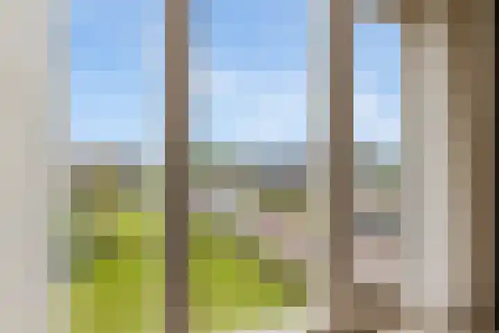Vaart Nz 15 Appelscha thumbnail 27