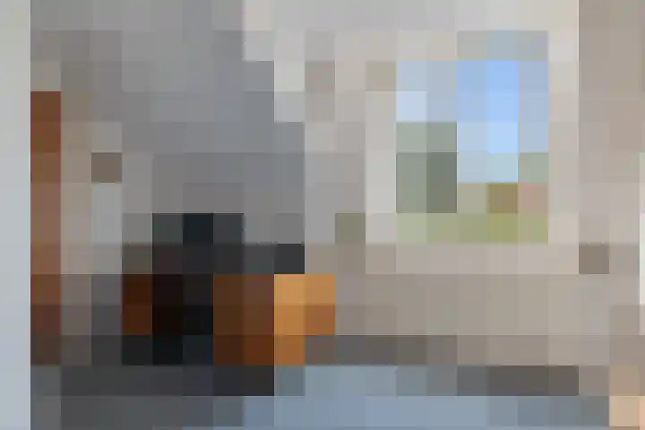 Vaart Nz 15 Appelscha thumbnail 28