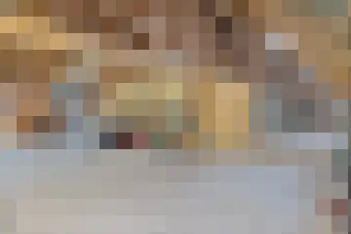 Vaart Nz 15 Appelscha thumbnail 37
