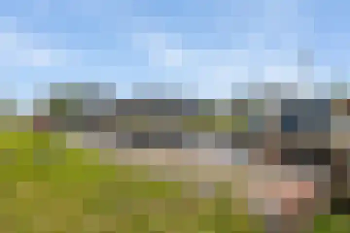Vaart Nz 15 Appelscha thumbnail 46