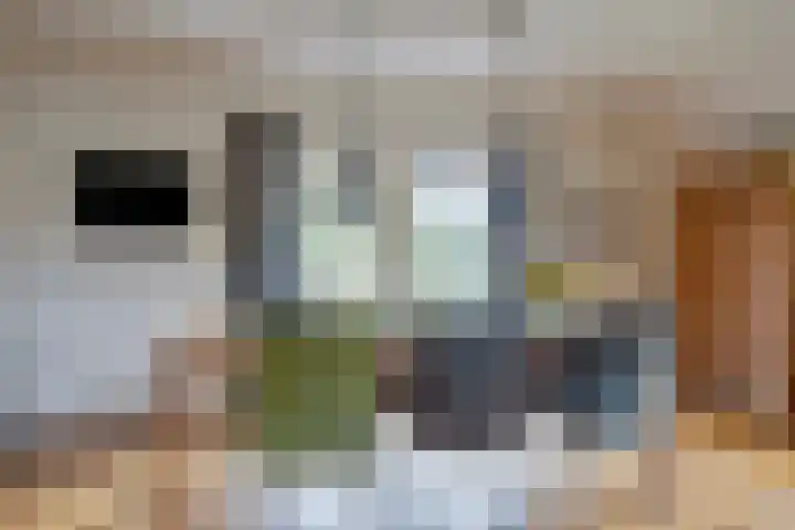Vaart Nz 4 Appelscha thumbnail 12