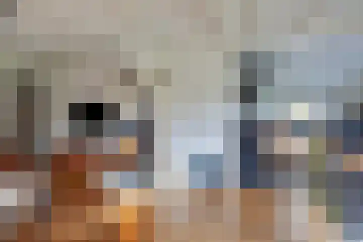 Vaart Nz 4 Appelscha thumbnail 13