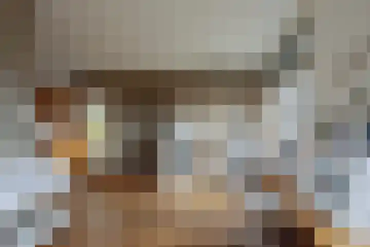 Vaart Nz 4 Appelscha thumbnail 19