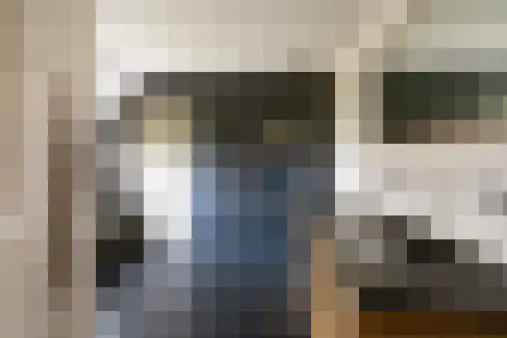 Vaart Nz 4 Appelscha thumbnail 22
