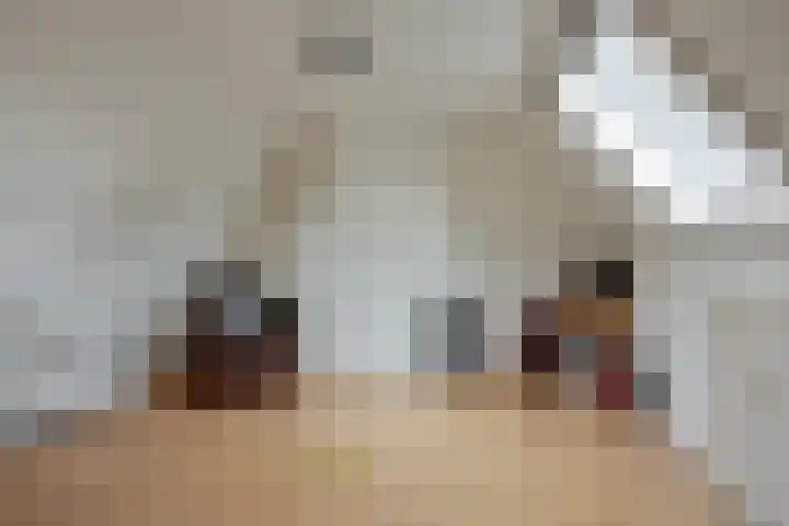 Vaart Nz 4 Appelscha thumbnail 25
