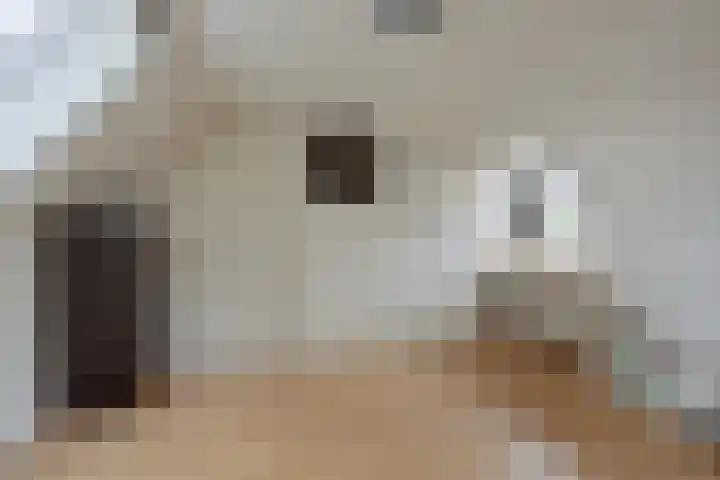 Vaart Nz 4 Appelscha thumbnail 26