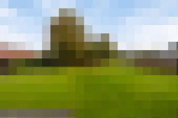Vaart Nz 4 Appelscha thumbnail 31