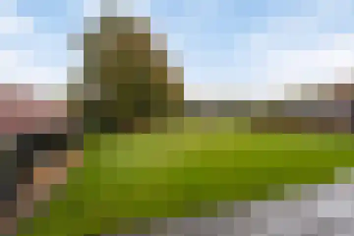 Vaart Nz 4 Appelscha thumbnail 33