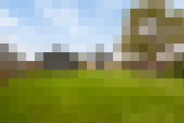 Vaart Nz 4 Appelscha thumbnail 37