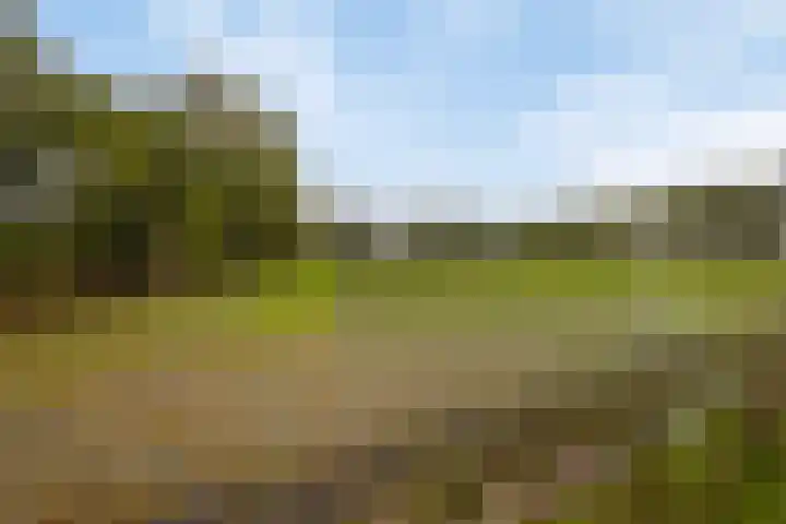 Vaart Nz 4 Appelscha thumbnail 38
