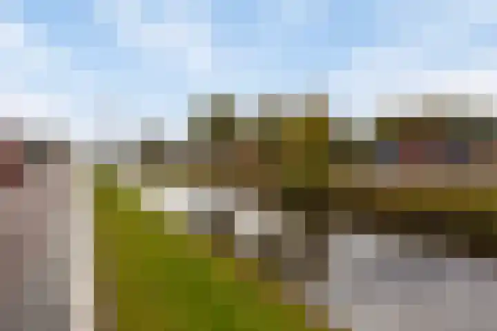 Vaart Nz 4 Appelscha thumbnail 44