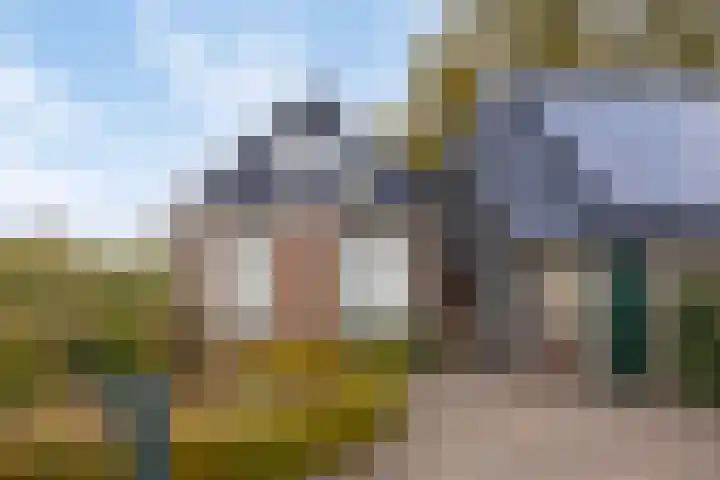 Vaart Nz 4 Appelscha thumbnail 45