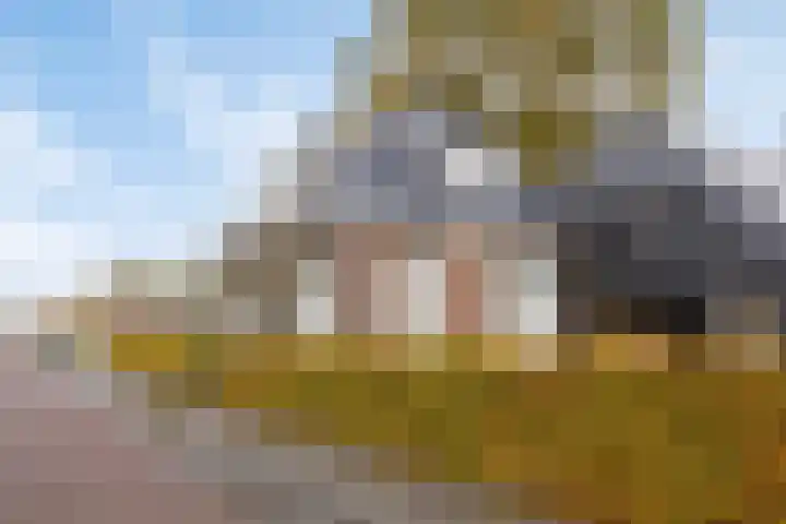 Vaart Nz 4 Appelscha thumbnail 46