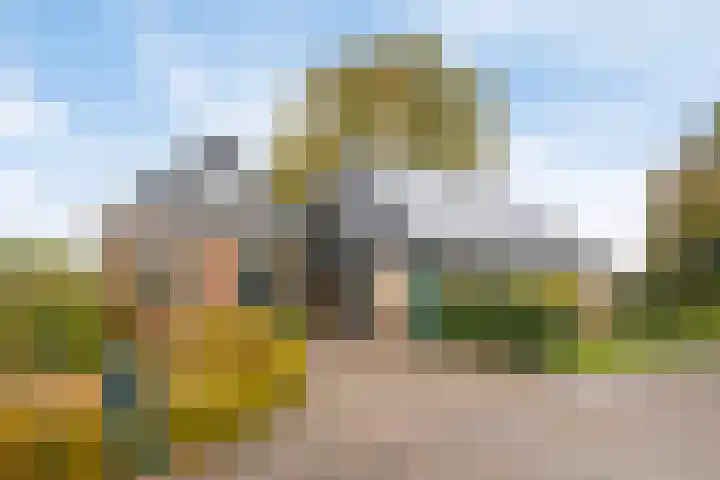 Vaart Nz 4 Appelscha thumbnail 5