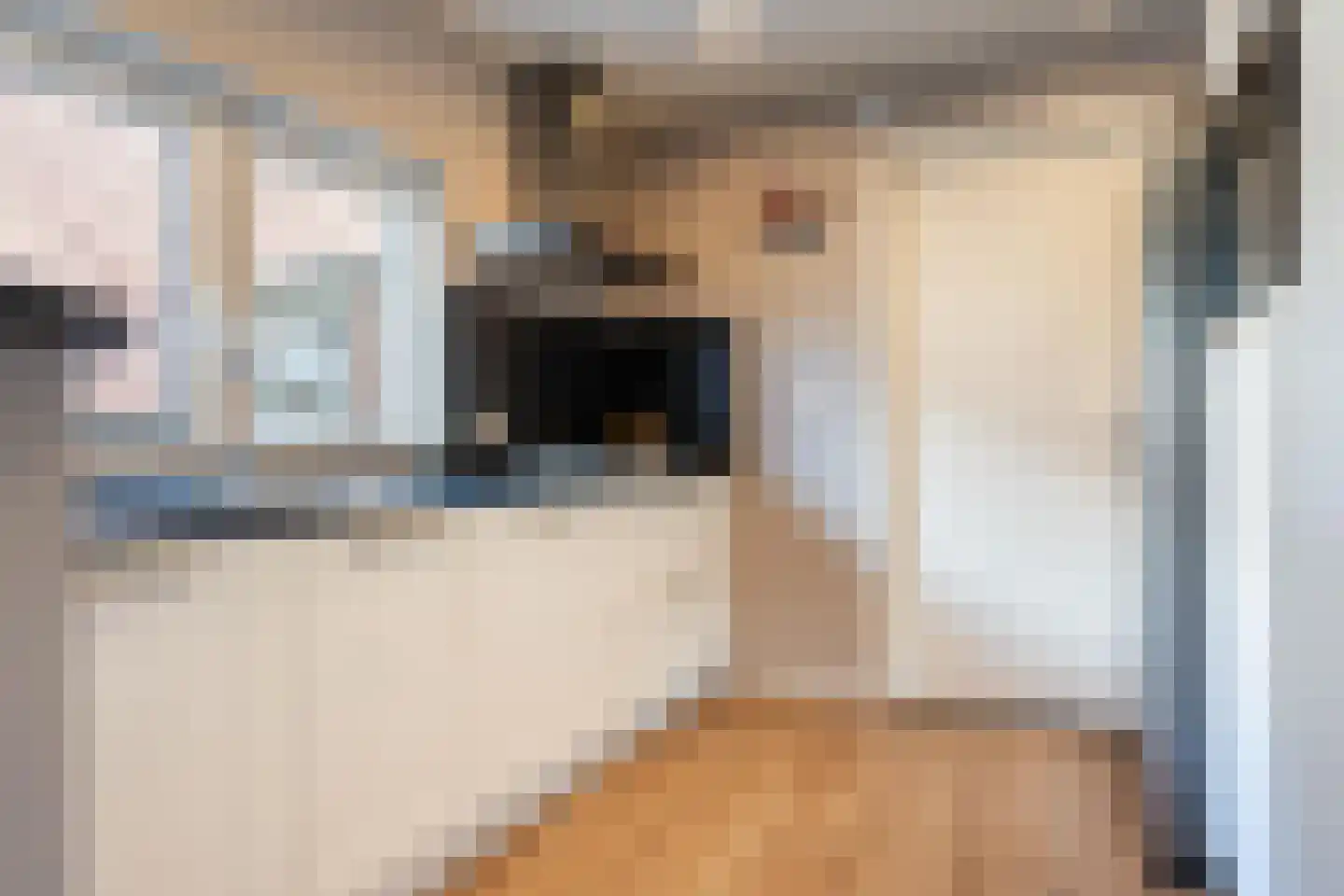 Vaart Nz 64 Appelscha thumbnail 22