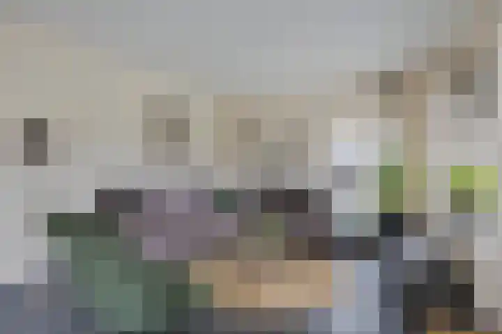 Vaart Nz 78 Appelscha thumbnail 11