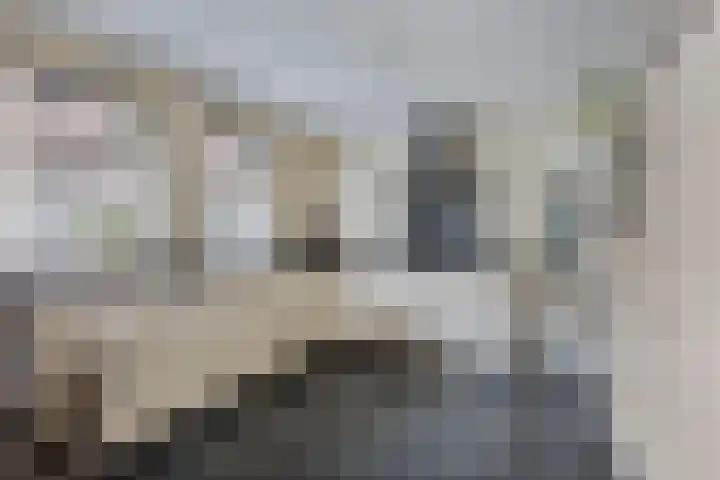 Vaart Nz 78 Appelscha thumbnail 16