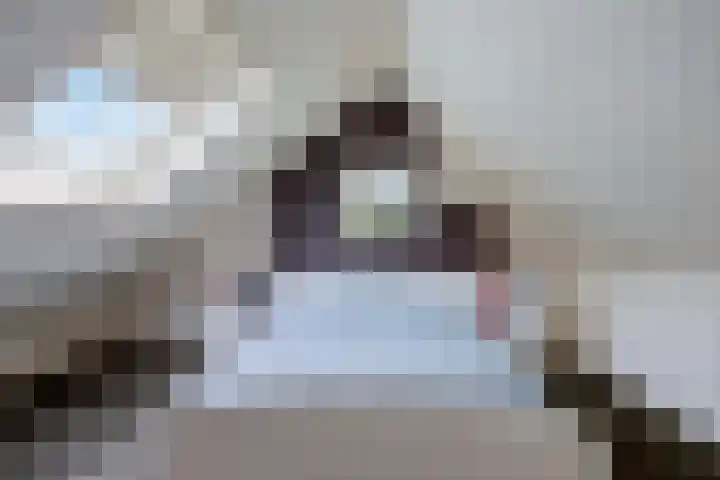 Vaart Nz 78 Appelscha thumbnail 21