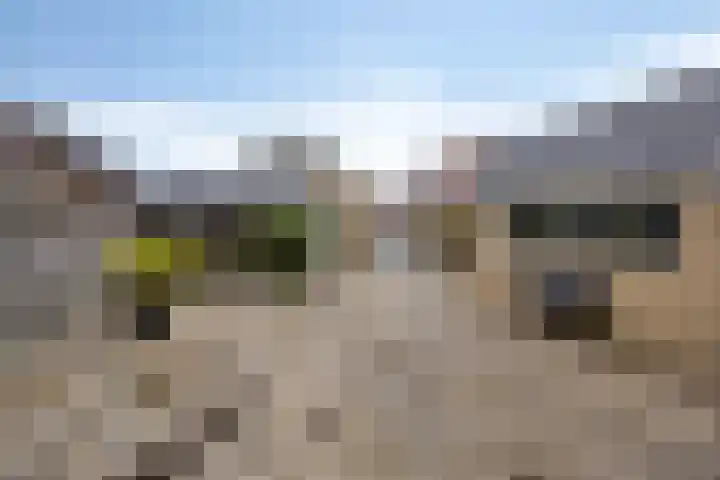 Vaart Nz 78 Appelscha thumbnail 32