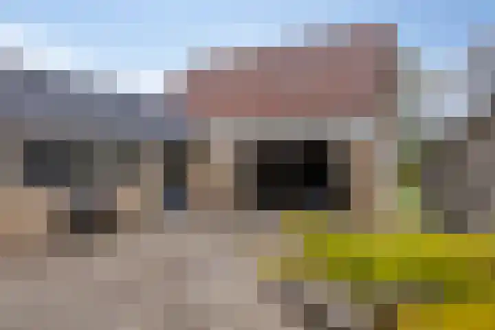 Vaart Nz 78 Appelscha thumbnail 35