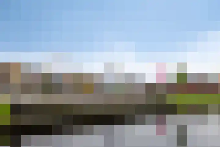 Vaart Nz 78 Appelscha thumbnail 38