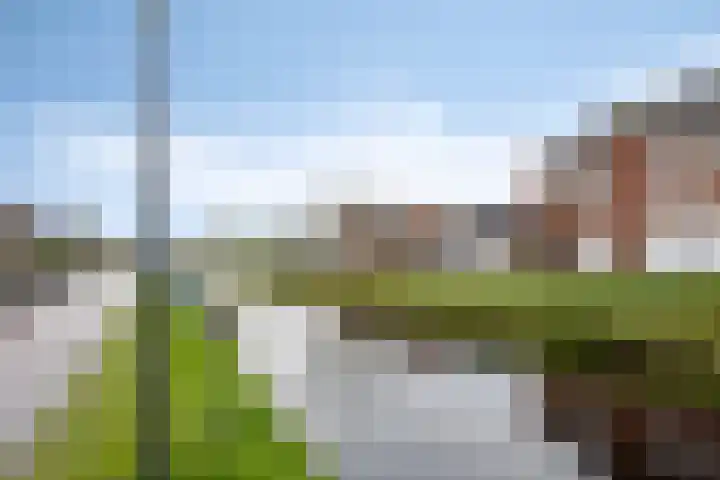 Vaart Nz 78 Appelscha thumbnail 39